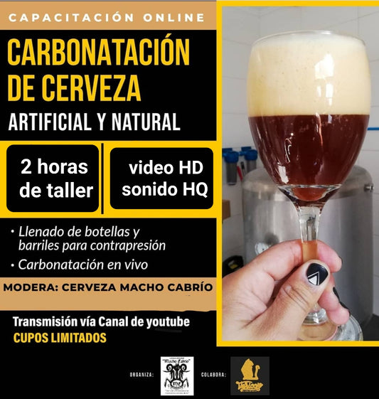 Segundo Taller online Carbonatación de cerveza artificial